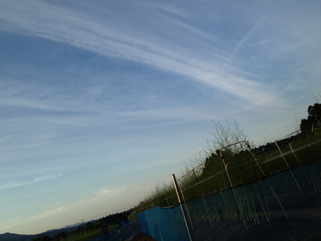f:id:yoshiki810:20130609221106j:plain f:id:yoshiki810:20130609221106j:plain