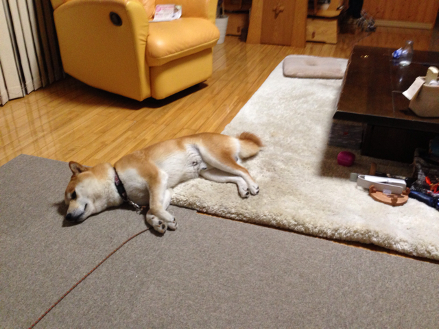 f:id:yoshiki810:20130610205531j:plain f:id:yoshiki810:20130610205531j:plain