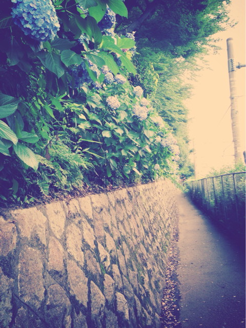 f:id:yoshiki810:20130628163239j:plain f:id:yoshiki810:20130628163239j:plain