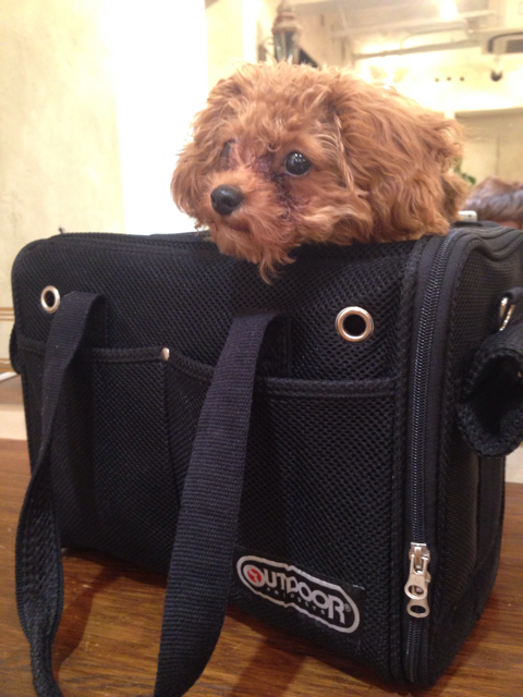 f:id:yoshiki810:20130714140811j:plain f:id:yoshiki810:20130714140811j:plain