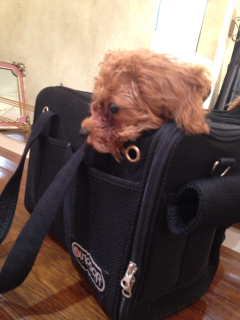 f:id:yoshiki810:20130714140826j:plain f:id:yoshiki810:20130714140826j:plain