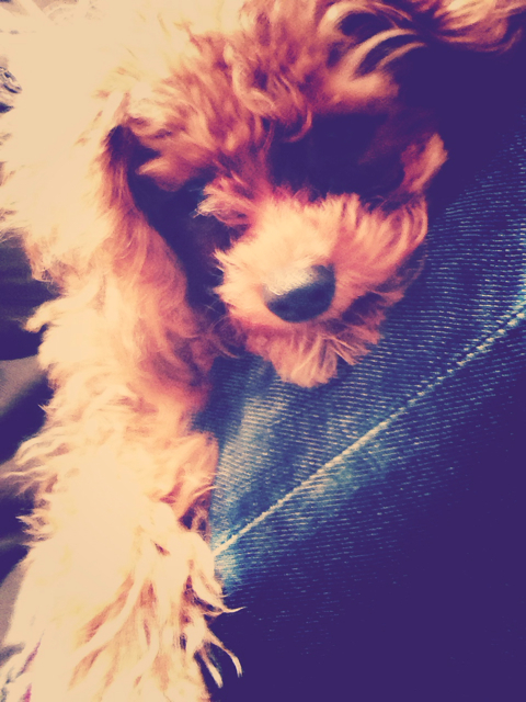 f:id:yoshiki810:20130714140924j:plain f:id:yoshiki810:20130714140924j:plain