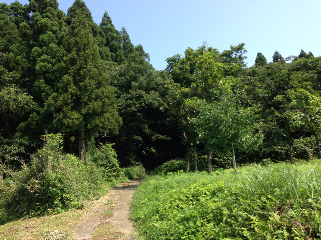 f:id:yoshiki810:20130815130726j:plain f:id:yoshiki810:20130815130726j:plain