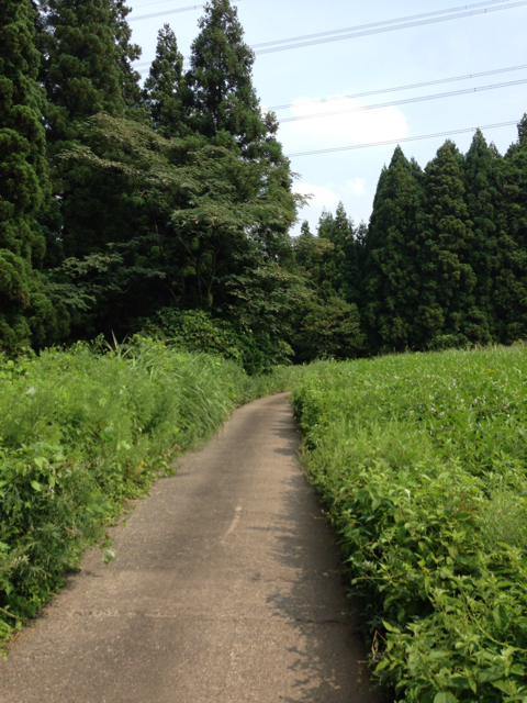f:id:yoshiki810:20130822143116j:plain f:id:yoshiki810:20130822143116j:plain