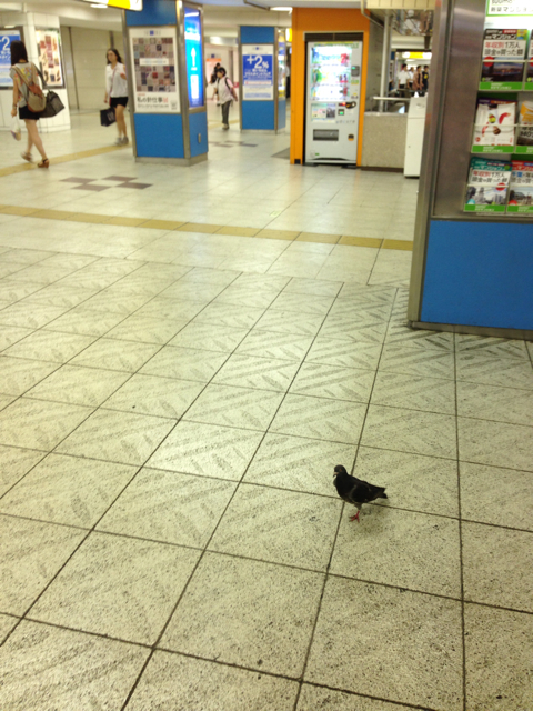 f:id:yoshiki810:20130901030030j:plain f:id:yoshiki810:20130901030030j:plain