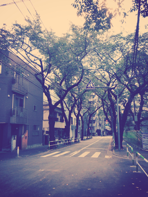 f:id:yoshiki810:20130929135407j:plain f:id:yoshiki810:20130929135407j:plain