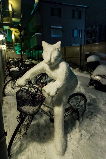 f:id:yoshiki810:20140209222207j:plain f:id:yoshiki810:20140209222207j:plain