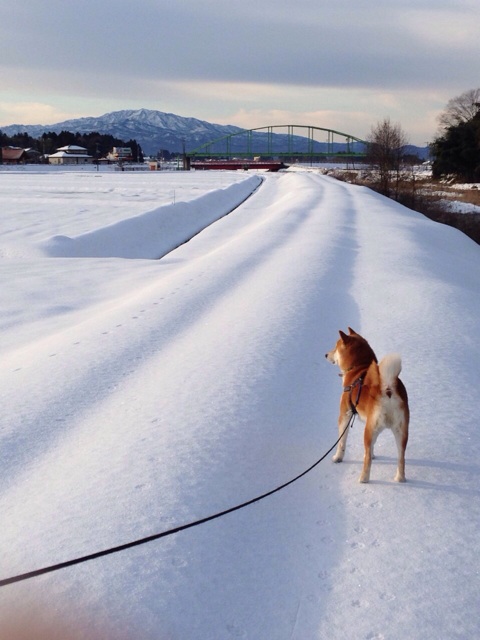 f:id:yoshiki810:20140209222433j:plain f:id:yoshiki810:20140209222433j:plain