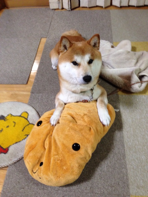 f:id:yoshiki810:20140209222445j:plain f:id:yoshiki810:20140209222445j:plain