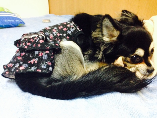 f:id:yoshiki810:20141001160916j:plain f:id:yoshiki810:20141001160916j:plain