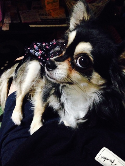f:id:yoshiki810:20141001160928j:plain f:id:yoshiki810:20141001160928j:plain
