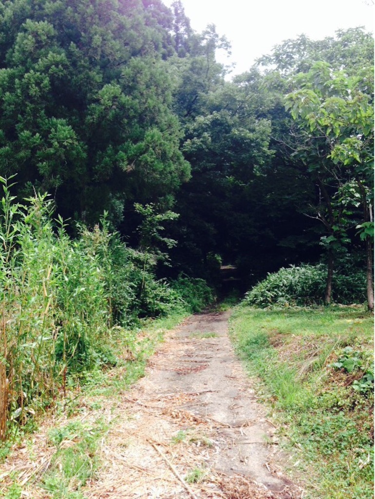 f:id:yoshiki810:20150722212444j:image f:id:yoshiki810:20150722212444j:image