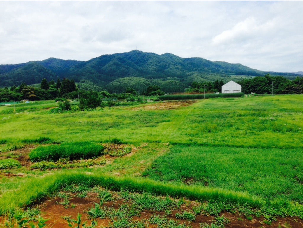 f:id:yoshiki810:20150722214103j:image f:id:yoshiki810:20150722214103j:image