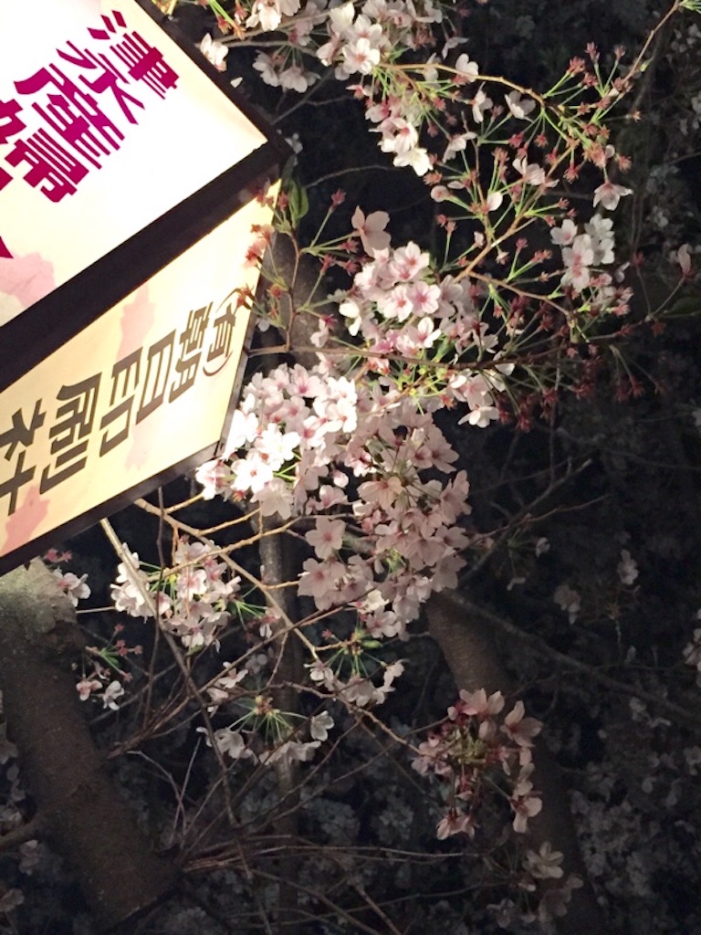 f:id:yoshimamo:20160407153910j:image f:id:yoshimamo:20160407153910j:image