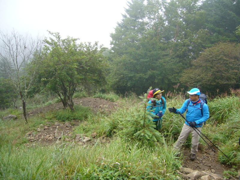 f:id:yoshinokaori:20140827092938j:plain