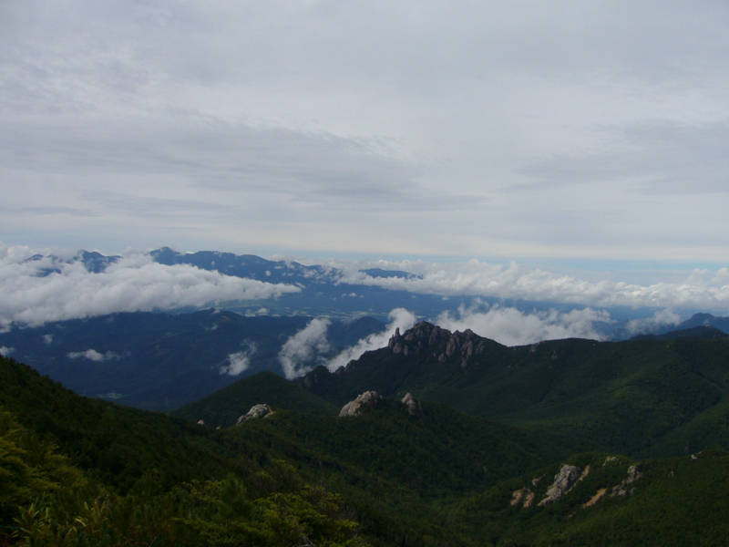 f:id:yoshinokaori:20140828124302j:plain f:id:yoshinokaori:20140828124302j:plain