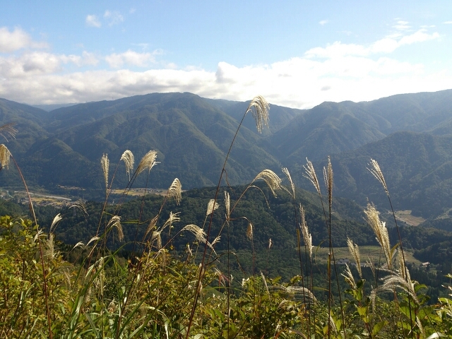 f:id:yoshinokaori:20141112122724j:plain f:id:yoshinokaori:20141112122724j:plain