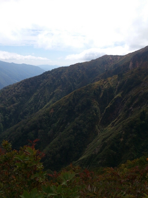 f:id:yoshinokaori:20141112124403j:plain f:id:yoshinokaori:20141112124403j:plain