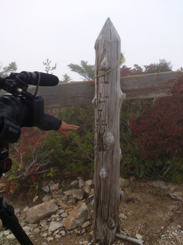 f:id:yoshinokaori:20141112124735j:plain f:id:yoshinokaori:20141112124735j:plain