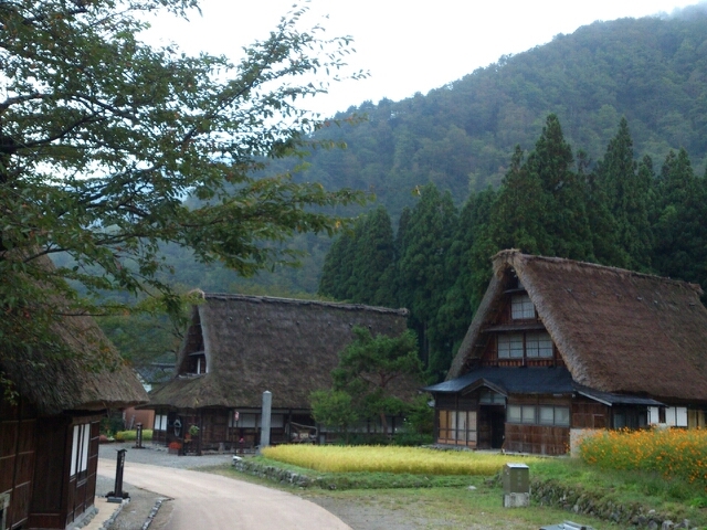 f:id:yoshinokaori:20141112125719j:plain f:id:yoshinokaori:20141112125719j:plain