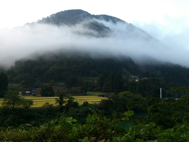 f:id:yoshinokaori:20141112125730j:plain f:id:yoshinokaori:20141112125730j:plain