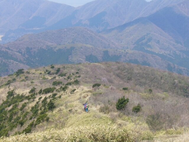 f:id:yoshinokaori:20150323105015j:plain f:id:yoshinokaori:20150323105015j:plain