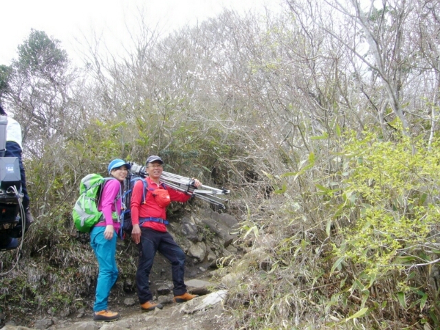 f:id:yoshinokaori:20150323105024j:plain