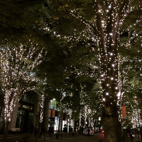 f:id:yoshinokaori:20151104132611j:plain f:id:yoshinokaori:20151104132611j:plain