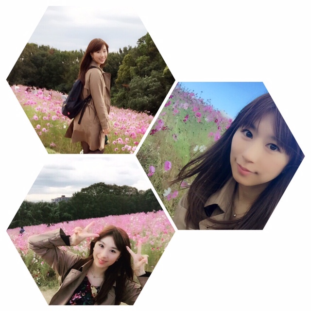 f:id:yoshinokaori:20151104132723j:plain f:id:yoshinokaori:20151104132723j:plain