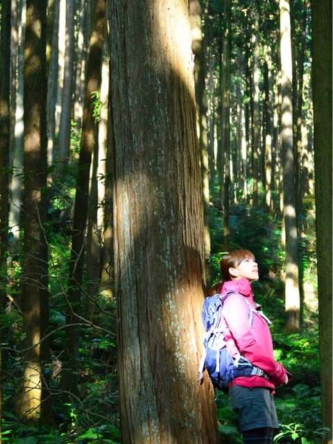 f:id:yoshinokaori:20151225155521j:plain