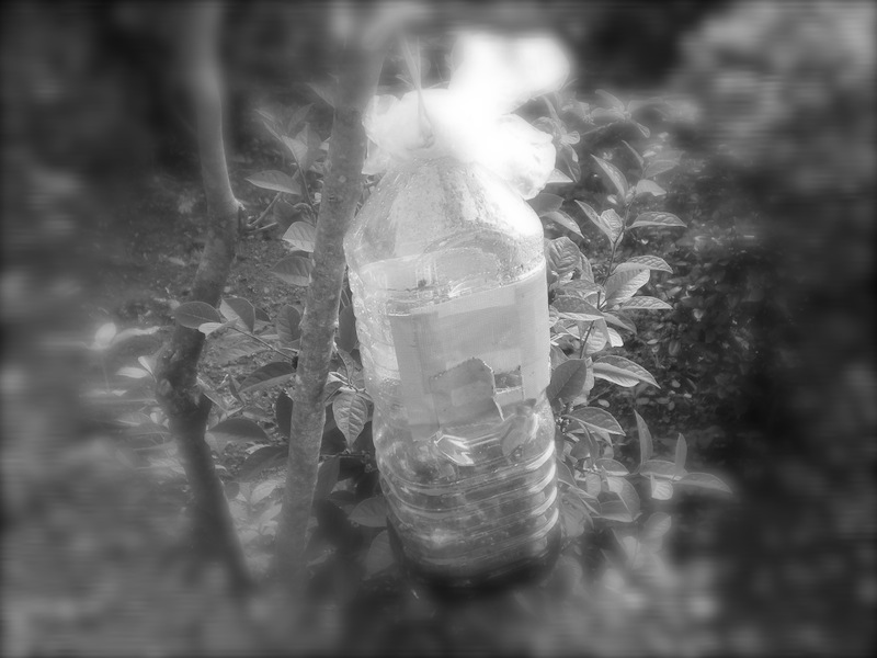 f:id:yosi0605:20110630074953j:image:w640