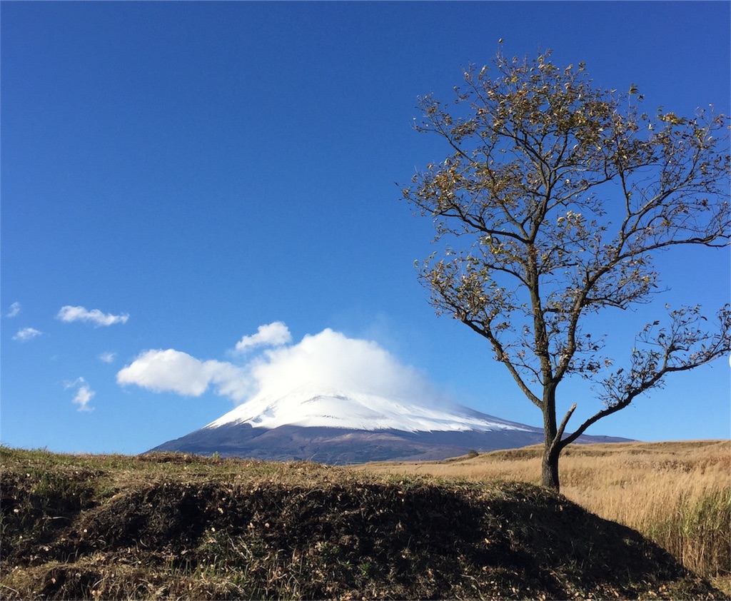 f:id:yossey:20151209064815j:image f:id:yossey:20151209064815j:image
