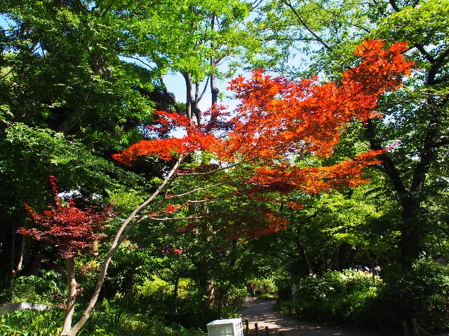 f:id:yosuke0414:20150531224311j:image f:id:yosuke0414:20150531224311j:image