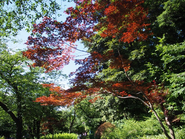 f:id:yosuke0414:20150531224327j:image f:id:yosuke0414:20150531224327j:image