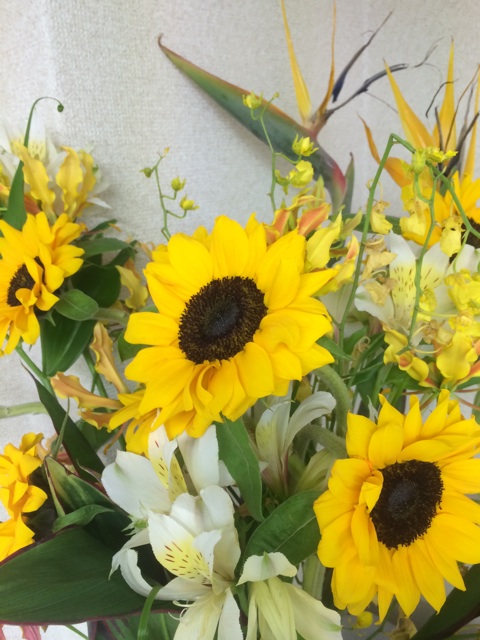 f:id:yosuke_lib:20140406161633j:plain f:id:yosuke_lib:20140406161633j:plain