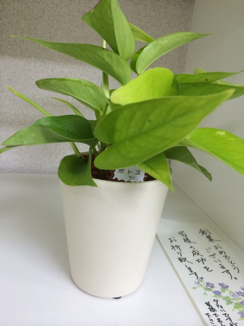 f:id:yosuke_lib:20140406161701j:plain f:id:yosuke_lib:20140406161701j:plain