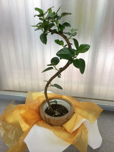 f:id:yosuke_lib:20140406161817j:plain f:id:yosuke_lib:20140406161817j:plain
