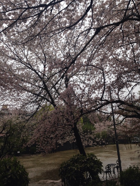f:id:yosweet_0907:20150408002905j:plain f:id:yosweet_0907:20150408002905j:plain