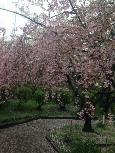 f:id:yosweet_0907:20150408002935j:plain f:id:yosweet_0907:20150408002935j:plain