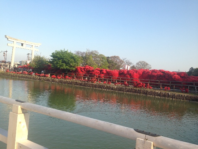 f:id:yosweet_0907:20150501213054j:image f:id:yosweet_0907:20150501213054j:image
