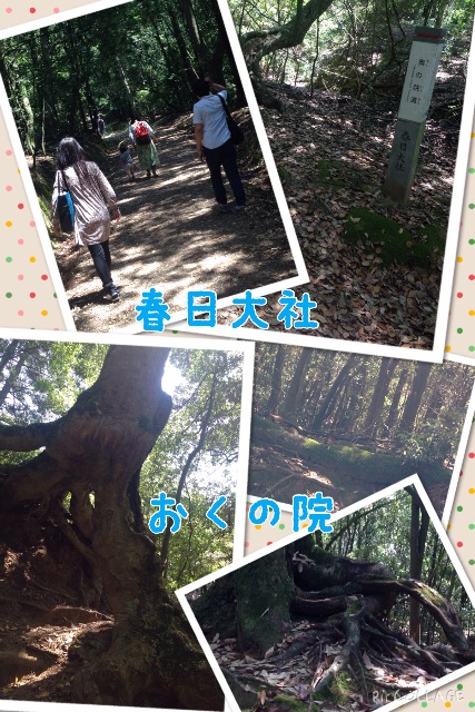 f:id:yosweet_0907:20150514213451j:image f:id:yosweet_0907:20150514213451j:image