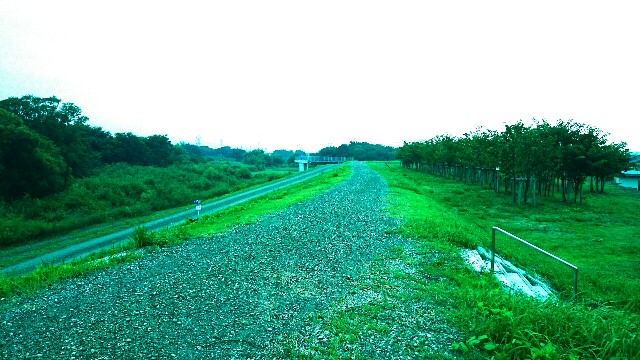 f:id:you_key69:20150823064458j:image f:id:you_key69:20150823064458j:image