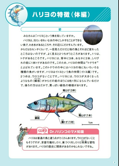 f:id:you_key69:20160428054317j:image f:id:you_key69:20160428054317j:image