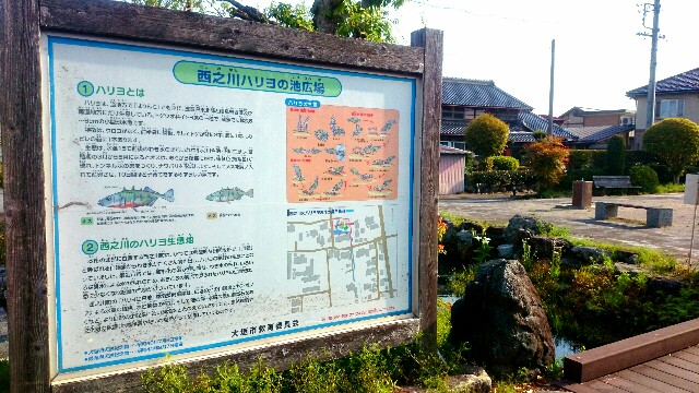 f:id:you_key69:20160428054507j:image f:id:you_key69:20160428054507j:image