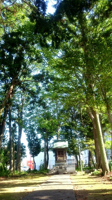 f:id:you_key69:20160516231843j:image f:id:you_key69:20160516231843j:image