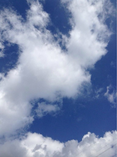 f:id:yougo519:20150310001915j:plain f:id:yougo519:20150310001915j:plain