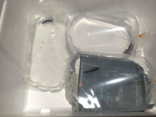 f:id:youichi1111:20150702095050j:image f:id:youichi1111:20150702095050j:image