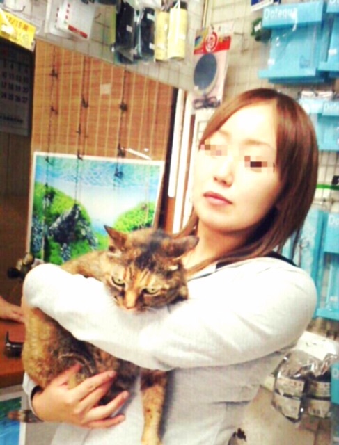 f:id:youichi1111:20150702124440j:image f:id:youichi1111:20150702124440j:image