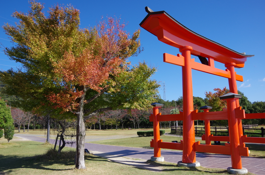 f:id:youji82:20151025101534j:plain f:id:youji82:20151025101534j:plain