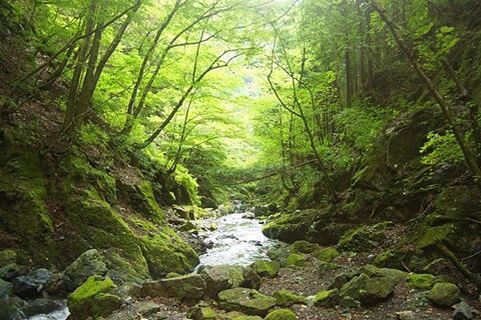 f:id:youjio:20140428212344j:plain f:id:youjio:20140428212344j:plain